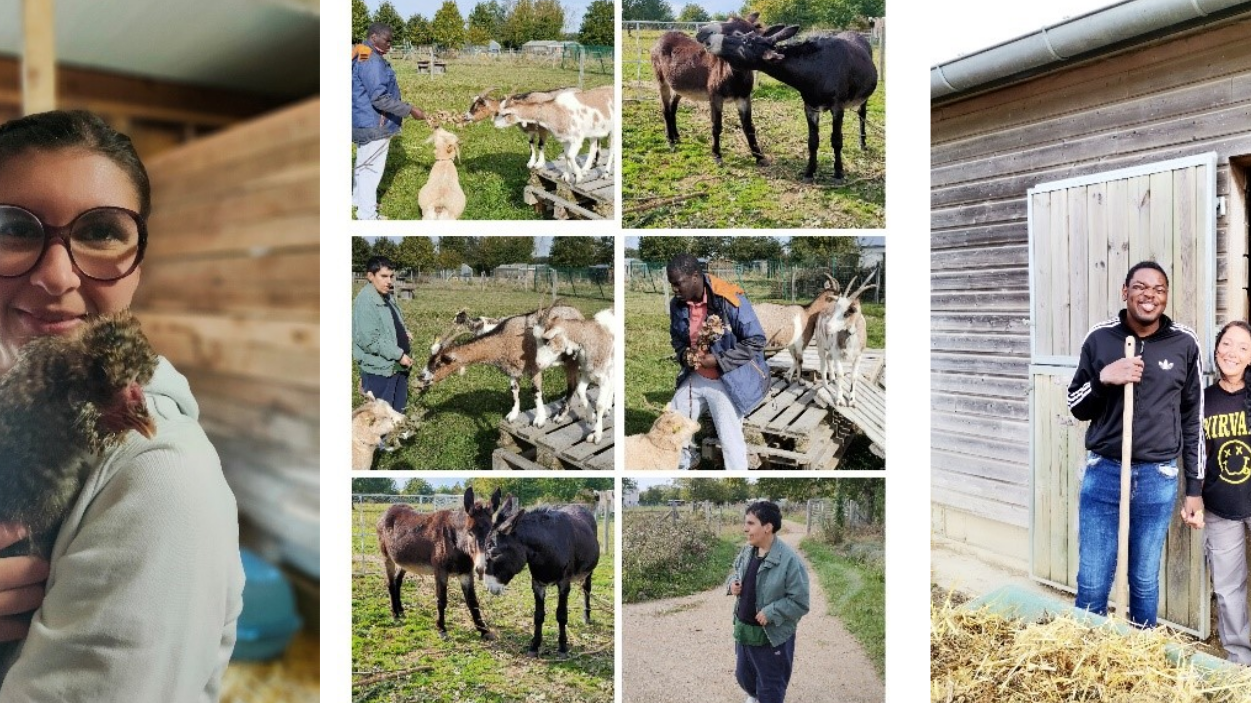 ferme